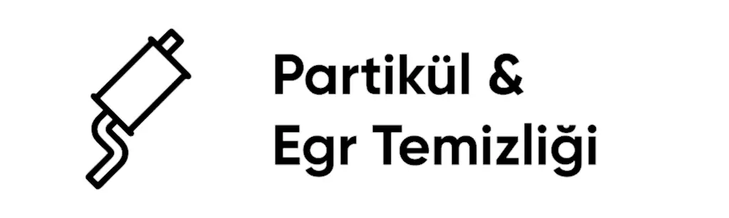 partikül ve egr temizliği