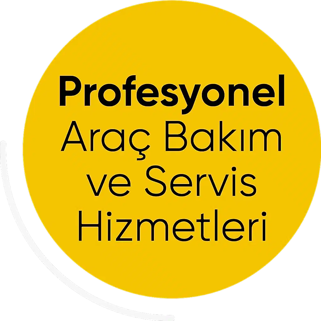 Profesyonel araç bakım servisi